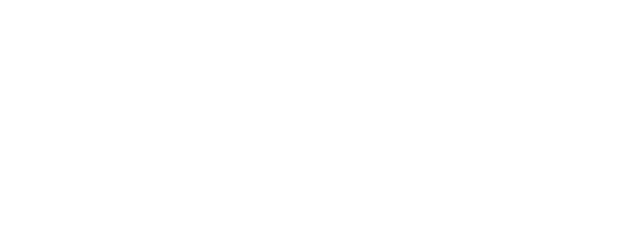 Logo_EIS_Blanc